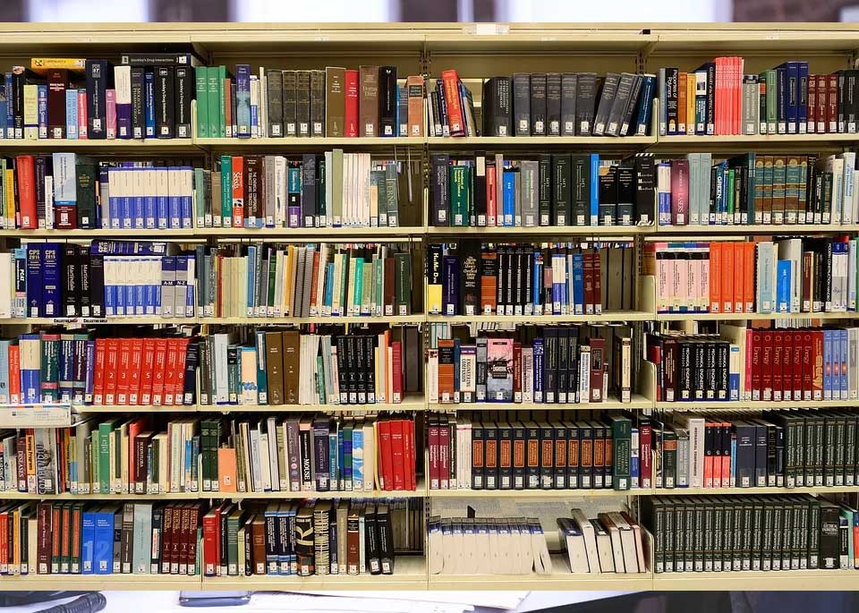 대학-전공 선택 고려 사항